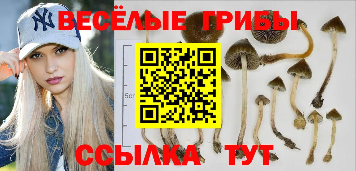 Псилоцибиновые грибы GOLDEN TEACHER Лысьва